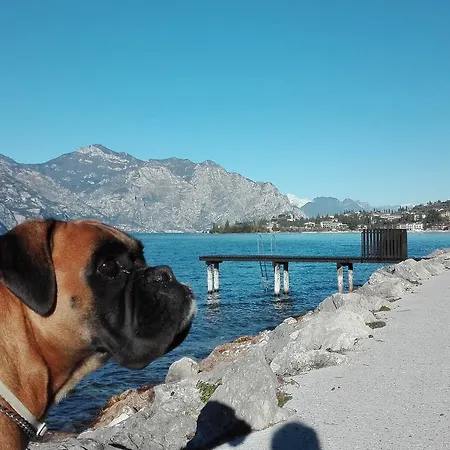 卡萨萨托利住宿加早餐旅馆 酒店 2*