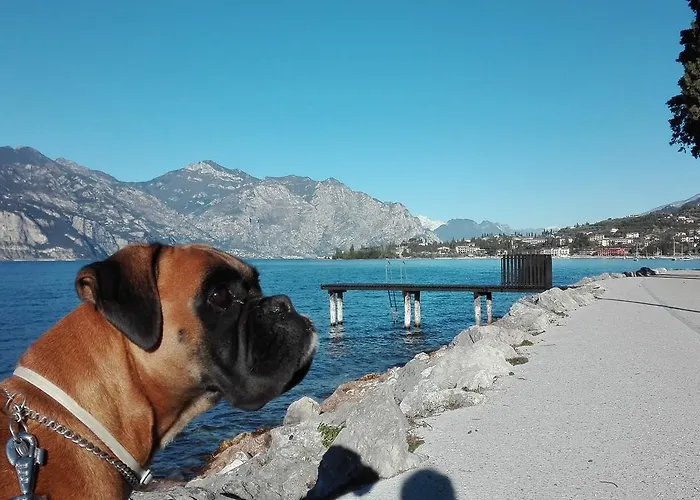 Casa Sartori Hotel 2*