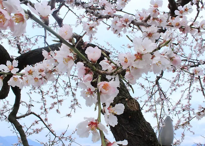 Casa Sartori Malcesine
